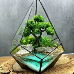 флораріум з мохом