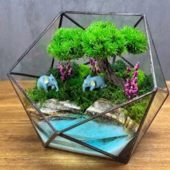 Флораріум зі стабілізованим деревом