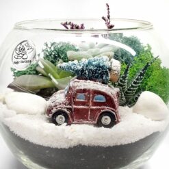Новогодний флорариум машинка с суккулентами