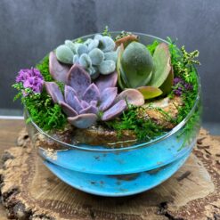 флораріум, флораріум з сукулентами, сукуленти, імітація водойми, декоративний флораріум, флораріум для дому, флораріум для офісу, тропічний флораріум, екзотичний декор, рослини для інтер'єру, декоративні рослини, стильний декор, міні-садок, флораріум зі склом, незвичайний флораріум, флораріум для подарунка, сукуленти в склі, композиція з сукулентів, водний флораріум, екзотичні рослини
