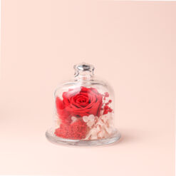 Флораріум зі стабілізованими квітами