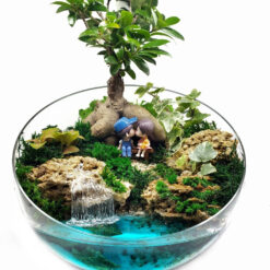 Флорариум-светлячок с Бонсай - Влюбленные - 26 см