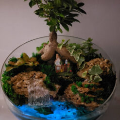 Флорариум-светлячок с Бонсай - Влюбленные - 26 см
