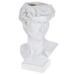 Кашпо Давид