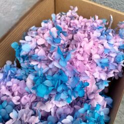 стабілізована гортензія, сухоцвіти, квіти для свічок, декор, квіти для букетів, гортензія