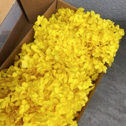 стабілізована гортензія, сухоцвіти, квіти для свічок, декор, квіти для букетів, гортензія