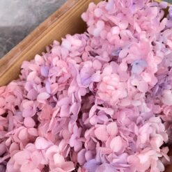 стабілізована гортензія, сухоцвіти, квіти для свічок, декор, квіти для букетів, гортензія