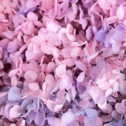 стабілізована гортензія, сухоцвіти, квіти для свічок, декор, квіти для букетів, гортензія