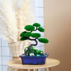 дерево, стабілізоване дерево, декор з моху, мосаріум, подарунок, день народження, Японія, феншуй