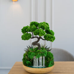 Бонсай над водоспадом зі стабілізованими рослинами