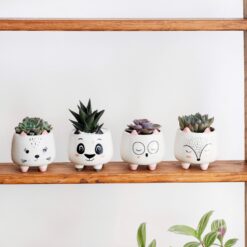 Набор кашпо для цветов 