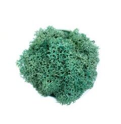 Мох ягель стабілізований Бірюза