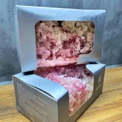 Стабілізована гортензія молочно-рожева