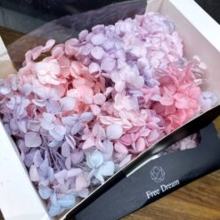 Стабілізована гортензія рожево-блакитно-бузкова