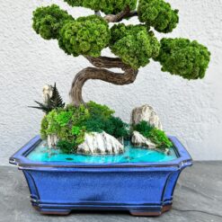 Бонсай на скелях зі стабілізованих рослин