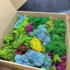 Стабілізований мох ягель мікс