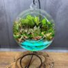Флораріум з сукулентами Підводний світ