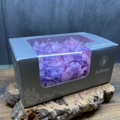 табілізована гортензія рожева, стабілізована гортензія фіолетова, декоративна гортензія, квіти для декору, рожева гортензія, стабілізовані квіти, стабілізована гортензія 10 грам, квіти для квіткових композицій, квіти для прикрашання, рожева декоративна гортензія, квіти для інтер'єру, сухоцвіти для декору, рожева гортензія стабілізована, квіткові композиції з гортензії, стабілізована