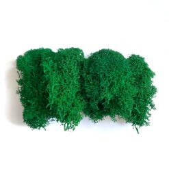 Мох ягель стабілізований Premium - 15 г - колір Смарагдовий