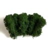 Мох ягель стабілізований Premium - 15 г - колір Темно-зелений