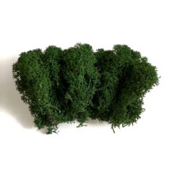 Мох ягель стабілізований Premium - 15 г - колір Темно-зелений