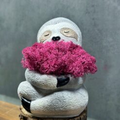 Кашпо «Обійми лінивця» зі стабілізованим мохом