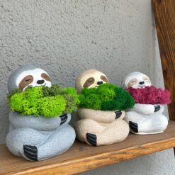 зі стабілізованим мохом преміум