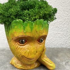 Декоративне кашпо «Грут великий» зі стабілізованим мохом