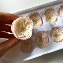 Троянда стабілізована піоновидна - колір Персик