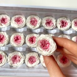 Троянда стабілізована - колір Біло-рожевий