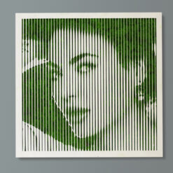 картина з моху