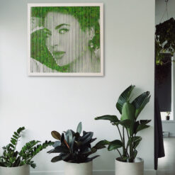 картина з моху