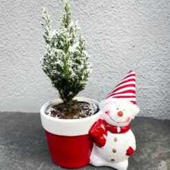 Розмір - 15х27 см Матеріал горщика - кераміка2