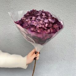 Гортензія стабілізована фіолетова на стеблі