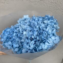 стабілізована гортензія рожева, стабілізована гортензія фіолетова, декоративна гортензія, квіти для декору, рожева гортензія, стабілізовані квіти, стабілізована гортензія 10 грам, квіти для квіткових композицій, квіти для прикрашання, рожева декоративна гортензія, квіти для інтер'єру, сухоцвіти для декору, рожева гортензія стабілізована, квіткові композиції з гортензії, стабілізована флористика, декор для свічок, гортензія для букетів, декор для весілля