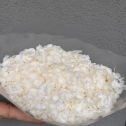 стабілізована гортензія рожева, стабілізована гортензія фіолетова, декоративна гортензія, квіти для декору, рожева гортензія, стабілізовані квіти, стабілізована гортензія 10 грам, квіти для квіткових композицій, квіти для прикрашання, рожева декоративна гортензія, квіти для інтер'єру, сухоцвіти для декору, рожева гортензія стабілізована, квіткові композиції з гортензії, стабілізована флористика, декор для свічок, гортензія для букетів, декор для весілля