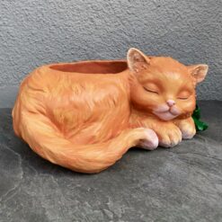 кашпо, велике кашпо, тварина, кіт, рослини, горщик для квітів, декор