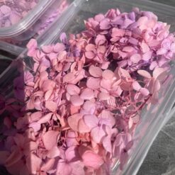 стабілізована гортензія рожева, стабілізована гортензія фіолетова, декоративна гортензія, квіти для декору, рожева гортензія, стабілізовані квіти, стабілізована гортензія 10 грам, квіти для квіткових композицій, квіти для прикрашання, рожева декоративна гортензія, квіти для інтер'єру, сухоцвіти для декору, рожева гортензія стабілізована, квіткові композиції з гортензії, стабілізована флористика