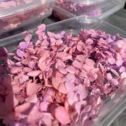 стабілізована гортензія рожева, стабілізована гортензія фіолетова, декоративна гортензія, квіти для декору, рожева гортензія, стабілізовані квіти, стабілізована гортензія 10 грам, квіти для квіткових композицій, квіти для прикрашання, рожева декоративна гортензія, квіти для інтер'єру, сухоцвіти для декору, рожева гортензія стабілізована, квіткові композиції з гортензії, стабілізована флористика