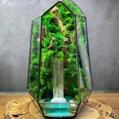 флораріум, мосаріум, флораріум з мохом, стабілізовані рослини, мінімалізм, декор, подарунок, 8 березня, день народження