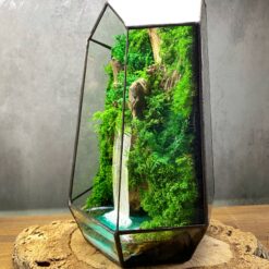 флораріум, мосаріум, флораріум з мохом, стабілізовані рослини, мінімалізм, декор, подарунок, 8 березня, день народження