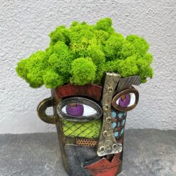 кашпо для квітів, сукуленти, горщик для сукулентів, ваза, декор, подарунок, асиментрія, Пікассо, авангард