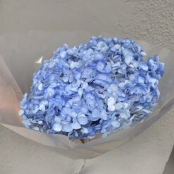 стабілізована гортензія рожева, стабілізована гортензія фіолетова, декоративна гортензія, квіти для декору, рожева гортензія, стабілізовані квіти, стабілізована гортензія 10 грам, квіти для квіткових композицій, квіти для прикрашання, рожева декоративна гортензія, квіти для інтер'єру, сухоцвіти для декору, рожева гортензія стабілізована, квіткові композиції з гортензії, стабілізована флористика, декор для свічок, гортензія для букетів, декор для весілля