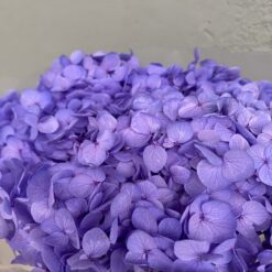 стабілізована гортензія рожева, стабілізована гортензія фіолетова, декоративна гортензія, квіти для декору, рожева гортензія, стабілізовані квіти, стабілізована гортензія 10 грам, квіти для квіткових композицій, квіти для прикрашання, рожева декоративна гортензія, квіти для інтер'єру, сухоцвіти для декору, рожева гортензія стабілізована, квіткові композиції з гортензії, стабілізована флористика, декор для свічок, гортензія для букетів, декор для весілля
