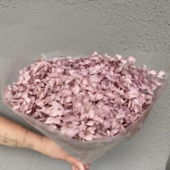 стабілізована гортензія рожева, стабілізована гортензія фіолетова, декоративна гортензія, квіти для декору, рожева гортензія, стабілізовані квіти, стабілізована гортензія 10 грам, квіти для квіткових композицій, квіти для прикрашання, рожева декоративна гортензія, квіти для інтер'єру, сухоцвіти для декору, рожева гортензія стабілізована, квіткові композиції з гортензії, стабілізована флористика, декор для свічок, гортензія для букетів, декор для весілля