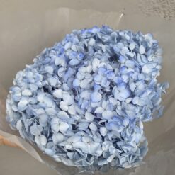 стабілізована гортензія рожева, стабілізована гортензія фіолетова, декоративна гортензія, квіти для декору, рожева гортензія, стабілізовані квіти, стабілізована гортензія 10 грам, квіти для квіткових композицій, квіти для прикрашання, рожева декоративна гортензія, квіти для інтер'єру, сухоцвіти для декору, рожева гортензія стабілізована, квіткові композиції з гортензії, стабілізована флористика, декор для свічок, гортензія для букетів, декор для весілля