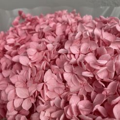 стабілізована гортензія рожева, стабілізована гортензія фіолетова, декоративна гортензія, квіти для декору, рожева гортензія, стабілізовані квіти, стабілізована гортензія 10 грам, квіти для квіткових композицій, квіти для прикрашання, рожева декоративна гортензія, квіти для інтер'єру, сухоцвіти для декору, рожева гортензія стабілізована, квіткові композиції з гортензії, стабілізована флористика, декор для свічок, гортензія для букетів, декор для весілля