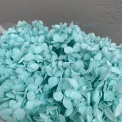 стабілізована гортензія рожева, стабілізована гортензія фіолетова, декоративна гортензія, квіти для декору, рожева гортензія, стабілізовані квіти, стабілізована гортензія 10 грам, квіти для квіткових композицій, квіти для прикрашання, рожева декоративна гортензія, квіти для інтер'єру, сухоцвіти для декору, рожева гортензія стабілізована, квіткові композиції з гортензії, стабілізована флористика, декор для свічок, гортензія для букетів, декор для весілля