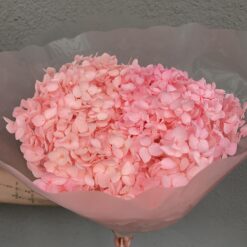 стабілізована гортензія рожева, стабілізована гортензія фіолетова, декоративна гортензія, квіти для декору, рожева гортензія, стабілізовані квіти, стабілізована гортензія 10 грам, квіти для квіткових композицій, квіти для прикрашання, рожева декоративна гортензія, квіти для інтер'єру, сухоцвіти для декору, рожева гортензія стабілізована, квіткові композиції з гортензії, стабілізована флористика, декор для свічок, гортензія для букетів, декор для весілля