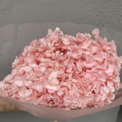 стабілізована гортензія рожева, стабілізована гортензія фіолетова, декоративна гортензія, квіти для декору, рожева гортензія, стабілізовані квіти, стабілізована гортензія 10 грам, квіти для квіткових композицій, квіти для прикрашання, рожева декоративна гортензія, квіти для інтер'єру, сухоцвіти для декору, рожева гортензія стабілізована, квіткові композиції з гортензії, стабілізована флористика, декор для свічок, гортензія для букетів, декор для весілля